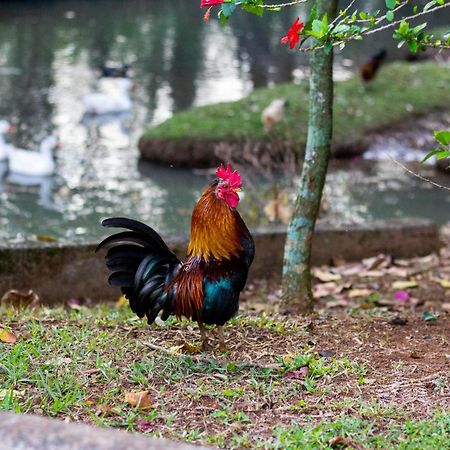 Polo Hotel Fazenda 인다이아투바 외부 사진